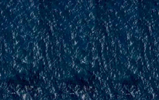 Gallery Gallery - Lunzammeeremailheadermediumlong