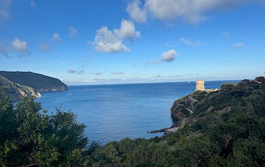 Gallery Lunz am Meer @ Porto di Capraia (13th of November 2025) - Img_7600 1