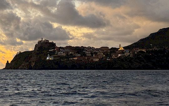 Gallery Lunz am Meer @ Porto di Capraia (13th of November 2025) - Img_7631