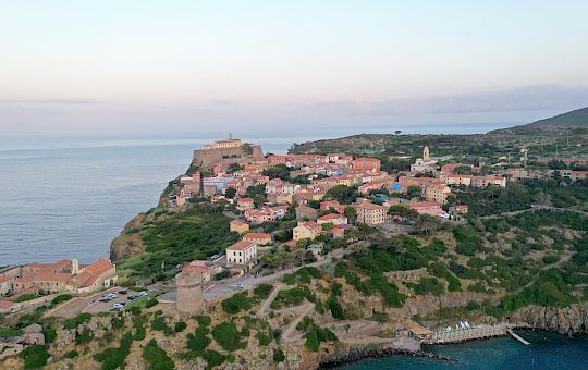 Gallery 2025-11-12 Lunz am Meer in Capraia - Eb5eb989 Ce52 4c22 B833 6d98b7777a6f