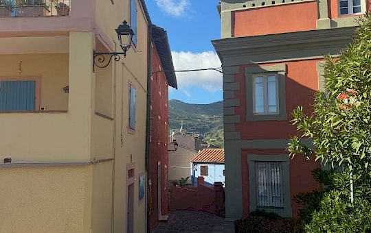 Gallery 2025-11-12 Lunz am Meer in Capraia - Img_7592