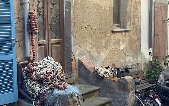 Gallery 2025-11-12 Lunz am Meer in Capraia - Img_7595