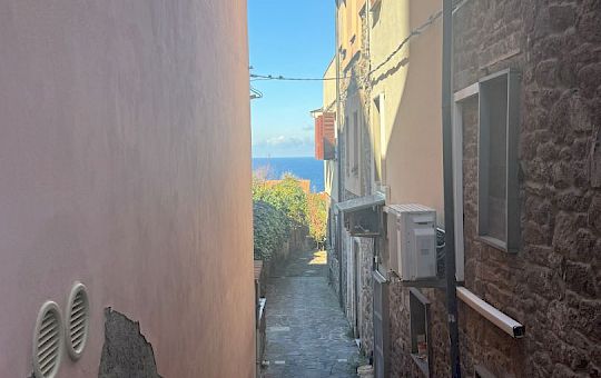 Gallery 2025-11-12 Lunz am Meer in Capraia - Img_7596