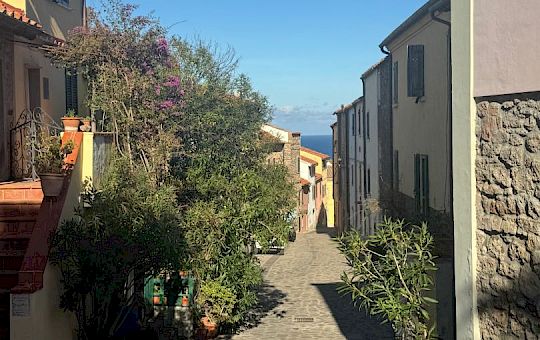 Gallery 2025-11-12 Lunz am Meer in Capraia - Img_7598