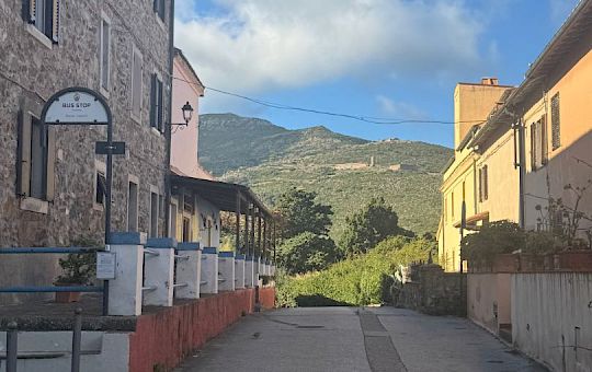 Gallery 2025-11-12 Lunz am Meer in Capraia - Img_7599