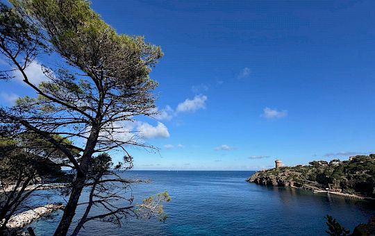 Gallery 2025-11-12 Lunz am Meer in Capraia - Img_7603