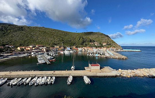 Gallery 2025-11-12 Lunz am Meer in Capraia - Img_7604