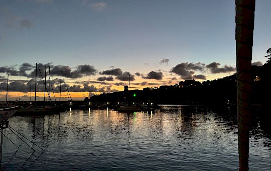 Gallery 2025-11-12 Lunz am Meer in Capraia - Img_7628