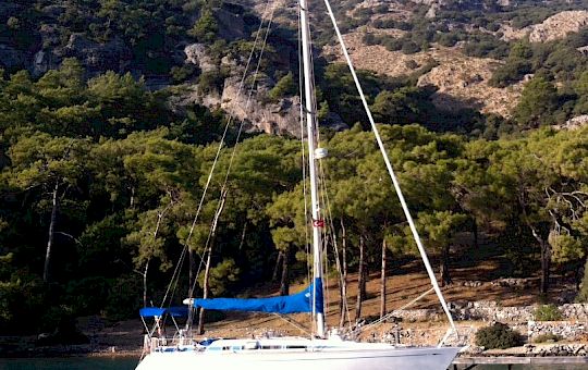 Gallery Swan 40 Marinara - Img_5259 1