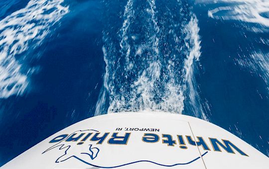 Gallery Swan Classic by Frers General Photo Gallery - 11616 1024x576