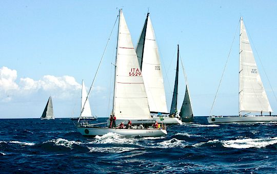 Gallery Swan Classic by Frers General Photo Gallery - X8u1609 1