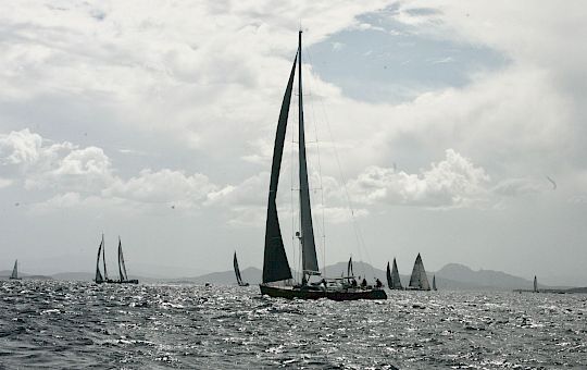 Gallery Swan Classic by Frers General Photo Gallery - X8u1617_2