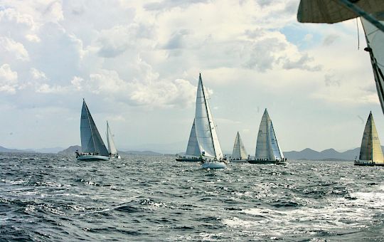 Gallery Swan Classic by Frers General Photo Gallery - X8u1669