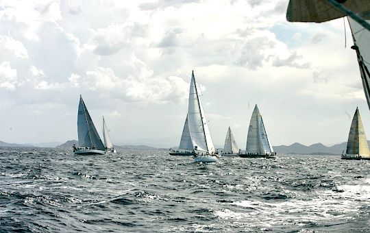 Gallery Swan Classic by Frers General Photo Gallery - X8u1669_2