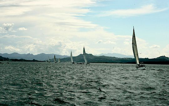 Gallery Swan Classic by Frers General Photo Gallery - X8u1759