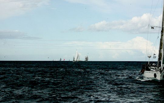 Gallery Swan Classic by Frers General Photo Gallery - X8u1781 1