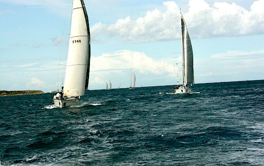 Gallery Swan Classic by Frers General Photo Gallery - X8u1786_2