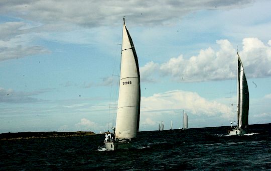 Gallery Swan Classic by Frers General Photo Gallery - X8u1787 1