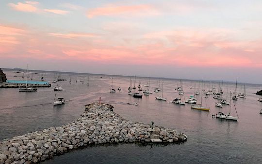 Gallery 2026 Swan Heritage Reunion in Capraia - 2ad31083 4822 4498 9d1e 9c61d6e809d3