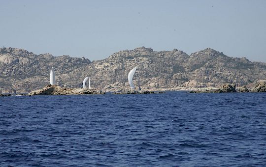 Gallery SCBF Newsletter March 2026 - X8u2867