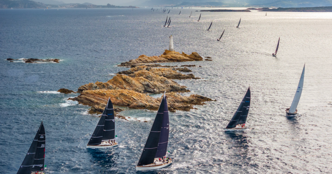 Gallery SCBF Newsletter May 2026
